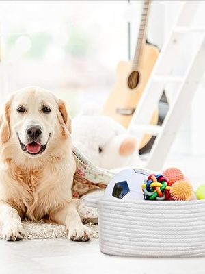 Small White Woven Storage Basket – Decorative Organizer for Dog or Cat Toys and Accessories