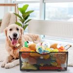 Medium Collapsible Metal Pet Toy Basket, Mesh Wire Dog and Cat Toy Storage Organizer