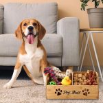 20-Inch Large Dog Toy Bin with Bone Handle Cutout – Organizer for Toys, Leashes, and Accessories