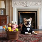 Round Metal Dog Toy Storage Basket, Stylish Pet Toy Organizer for Home and Living Room Use