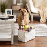 Mint Paw and Bone Print Small Rectangle Pet Storage Bin – Storage Organizer for Toys and Accessories