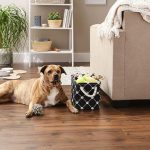 Small Paw and Bone Print Pet Storage Bin – Rectangle Organizer for Toys and Accessories